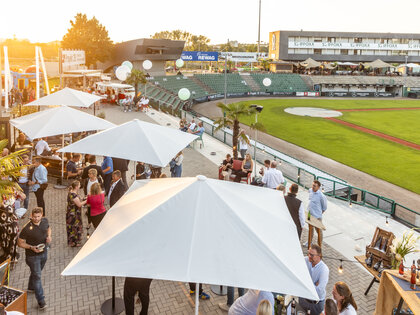 Armin Wolf Baseball Arena – Event Location © DONAUEVENTS